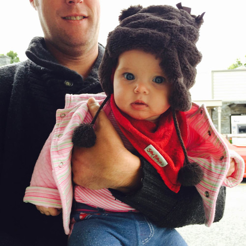 像鸟儿一样在新西兰飞翔