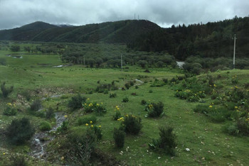 普达措国家公园 海拔高度3700米 随处可见的小